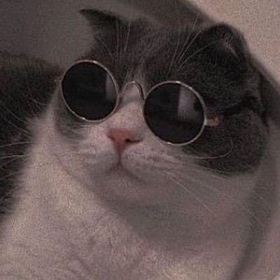 xx3bas's profile picture. Be human that's it.