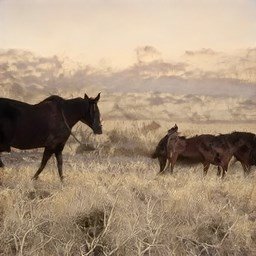 KelseyC95313730's profile picture. 和空间科学教师