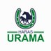 Haras Urama (@harasurama) Twitter profile photo Haras Urama (@harasurama) Twitter profile photo