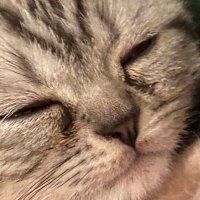 yousty (@y0usty) 's Twitter Profile