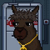 Savvy Crypto (@savvycryptoo) 's Twitter Profile