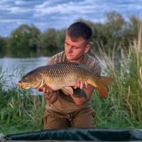 Nathan Watts (@nath_watts) 's Twitter Profile