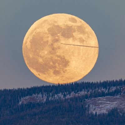 Marius40475069's profile picture. Ahh ! La vitesse de ma moto