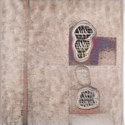 sasaki_jenn's profile picture. 成型,数国