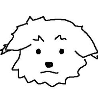 doggo revolution (@doggorevo) 's Twitter Profile Photo
