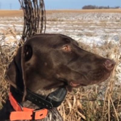 BasisEater's profile picture. Tweets/Opinions are my own.