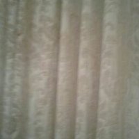 Ursula Bracken (@ursula_bracken) Twitter profile photo