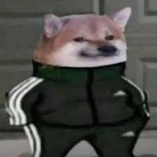 Imlearning01's profile picture. I'm learning english 😎🤑