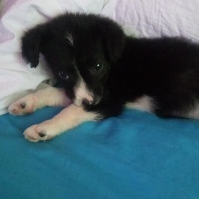 Yolanda82855934's profile picture. Me encanta bailar!!!