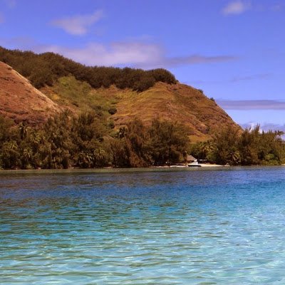 ma17742118's profile picture. 