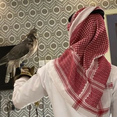 غير القصايد مالكم شي عندي . ⠀ ⠀ ⠀ ⠀ ⠀ ⠀ ⠀ ⠀ https://t.co/tZdAAyIzA8