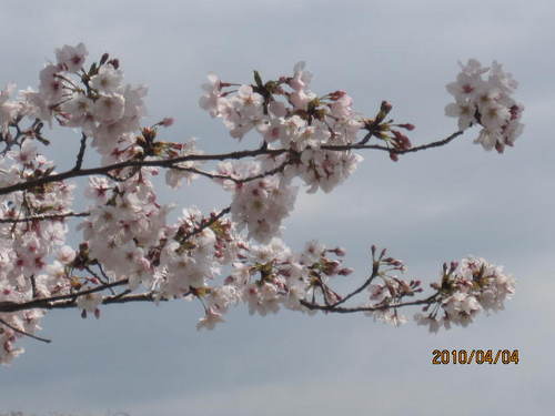 biz8778's profile picture. お得なビジネス情報を随時つぶやいています。