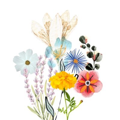 5Pjwa's profile picture. 25卒 デンマーク留学、フィリピンボランティア（終了）気づきと発見、学びの備忘録