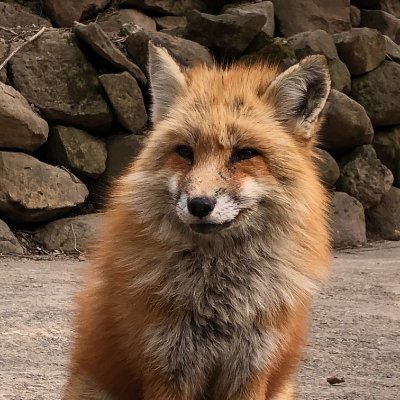 刑部幸道さんのプロフィール画像
