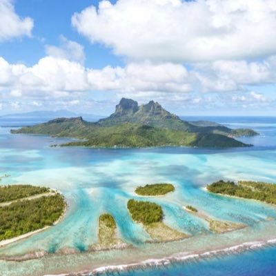 Sangria47891441's profile picture. 