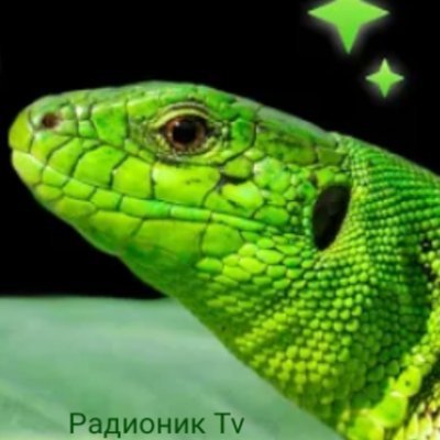 Miksimka2 Profile Picture