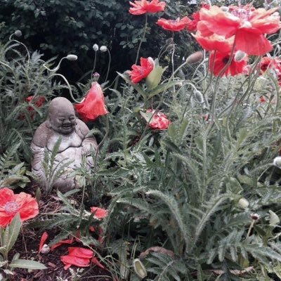 KatyRyanCT's profile picture. Mostly here to block ads and mock fascists. Billionaires shouldn’t exist. Also here for the music.✌️