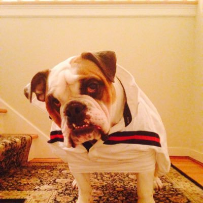 louis080523's profile picture. 🇺🇸