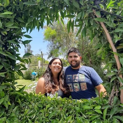 francobolso17's profile picture. 