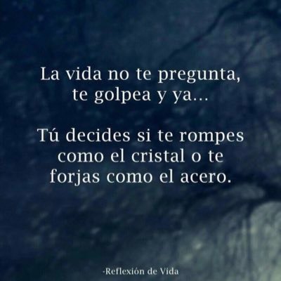 wilsoviedo's profile picture. 