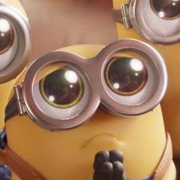 TO_meeko's profile picture. ばゆ愛好家