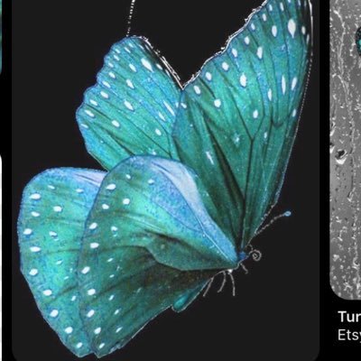 Thebest67158158's profile picture. 