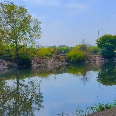 Sushant11220's profile picture. 