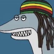 reggaesharkfan's profile picture. 