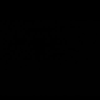 fontanamoraes's profile picture. 