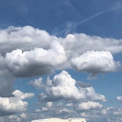 Esther99112276's profile picture. 