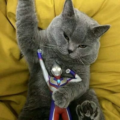 fanfan1620's profile picture. 花开堪折直须折，莫待无花空折枝。  欢迎私信合作相关业务。