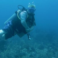 Darren Olivero (@shotline) 's Twitter Profile Photo