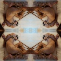 Van Holz shibari master (@shibarivan) 's Twitter Profile Photo Van Holz shibari master (@shibarivan) 's Twitter Profile Photo