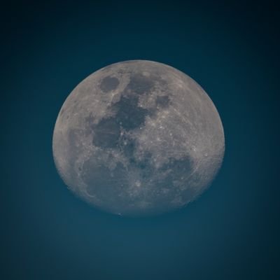 FaizevH's profile picture. 