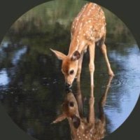 yasminalfalah (@yasminalfalah1) Twitter profile photo