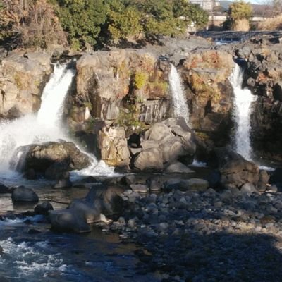 gDuUE6aQu3Kdqa3's profile picture. 