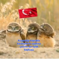 》@lp @sl@n《 (@_alp_aslan_1071) 's Twitter Profile Photo 》@lp @sl@n《 (@_alp_aslan_1071) 's Twitter Profile Photo