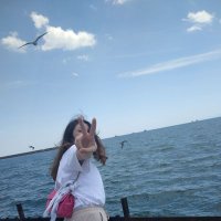 BaHaR🦋 (@baharrq_) Twitter profile photo
