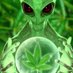 Reverend Weed (@reverend_weed) Twitter profile photo Reverend Weed (@reverend_weed) Twitter profile photo