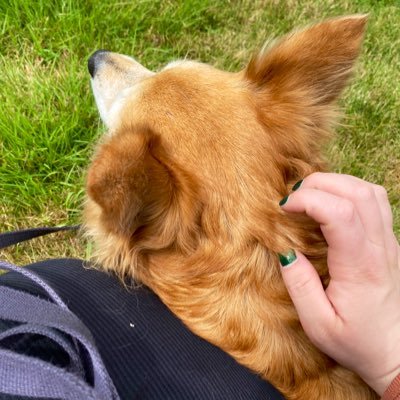 MiekeWolke's profile picture. she/her freie Journalistin mit Kaffeesucht und Migränehintergrund. Schwerpunkt Soziale Bewegungen und AfD. Studentin der Sozialen Arbeit.🌱