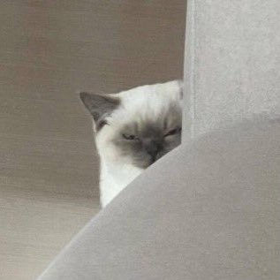 waitabbi's profile picture. 