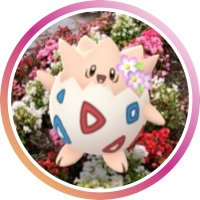 みっきー🌸 (@1234micky1234) 's Twitter Profile