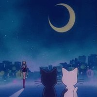 Half & Half 🌙 (@shinabuilder) 's Twitter Profile Photo Half & Half 🌙 (@shinabuilder) 's Twitter Profile Photo