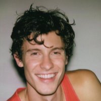 clarinha ๐๏ธ VAI VER O SHAWN MENDES (@luvst3rk) 's Twitter Profile