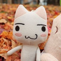 まつこ モユク 【公式】 (@akoroitaku) 's Twitter Profile Photo まつこ モユク 【公式】 (@akoroitaku) 's Twitter Profile Photo