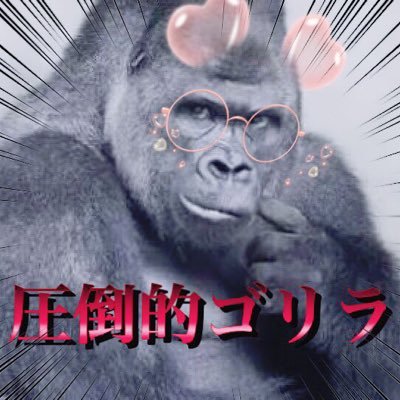 フォローすな、おりの外から眺めろ🦍