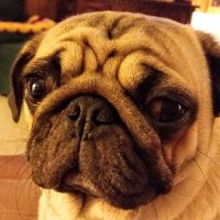 Dive Bar Philosopher (@divebarphil) 's Twitter Profile