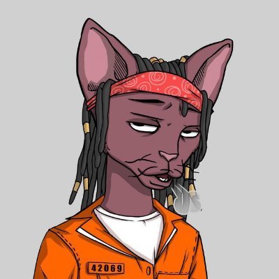 Yanasa_saol's profile picture. NFT Collector🛒