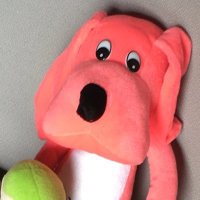 てる (@a0_qkc) 's Twitter Profile