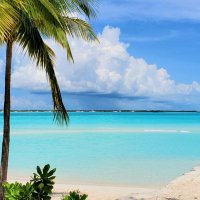 Crypto M (@cryptom7634) 's Twitter Profile Photo